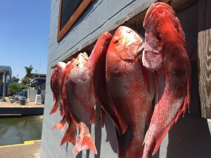 Redfish Charters Galveston